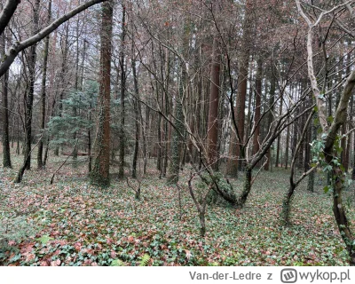 Van-der-Ledre - Odpad po samotni chodzi, po martwych lasach, równie martwych jak on s...