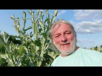 miloscsmiercirobotydrogowe - łukasz łuczaj na wyczilowanej b----e gruzowiska i popłoc...