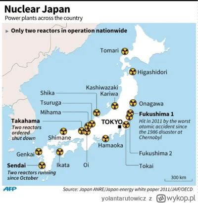 yolantarutowicz - Jak tam inżyniery atomistyki z tej drugiej Japonii? Kiedyś dogonici...