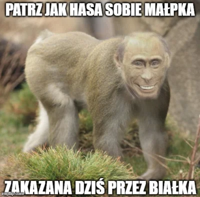 panDario - #wojna #ukraina #rosja #zoologia #kryptydy #heheszki