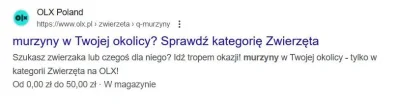 Dangarus - Co ten OLX to ja nie...

#pasjonaciubogiegozartu #memy #heheszki #humorobr...