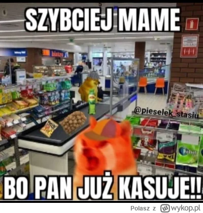 Polasz