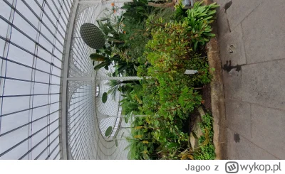 Jagoo - Glasgow botanic gardens, najlepsze ogrody botaniczne jakie widziałam. Oraz na...