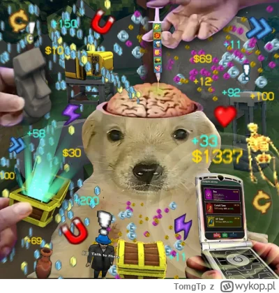 TomgTp - #megabonk ( ͡º ͜ʖ͡º) #heheszki