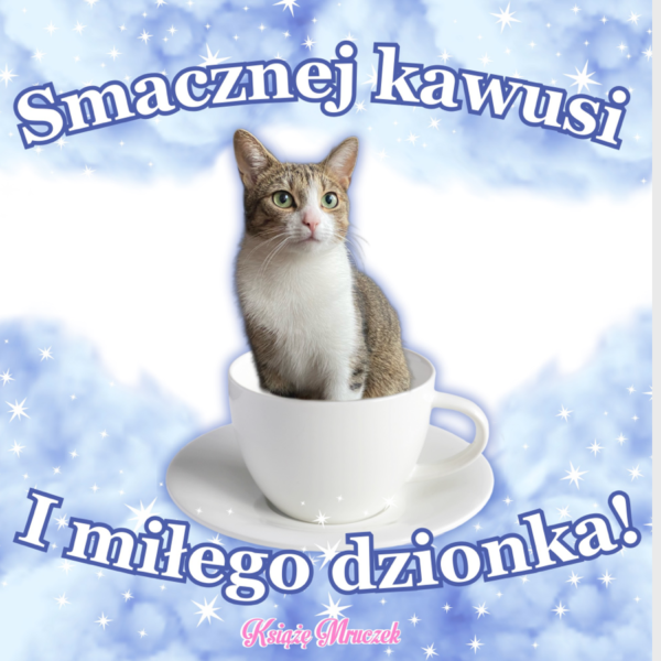 Rafonixkozak2008Pl - Witam użytkowników #primemma pozdrawiam i życzę udanego piąteczk...