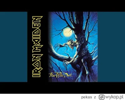 pekas - #ironmaiden #metal #rock #heavymetal #muzyka 


"Fear of the dark" kończy dzi...