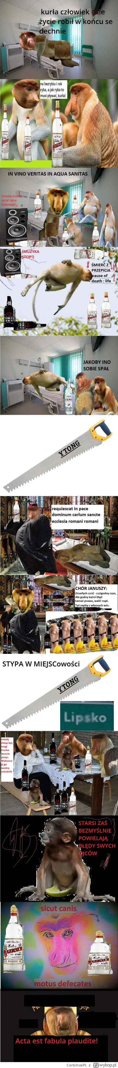 Cerb3rusPL - #konkursnanajbardziejgownianymemznosaczem #kolekcjaklasyki