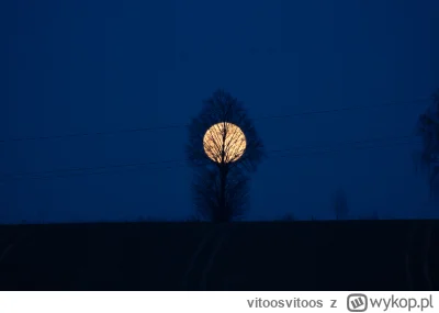 vitoosvitoos - @vitoosvitoos: a dla ciekawych poniżej oryginalny kadr, w sensie, RAW....