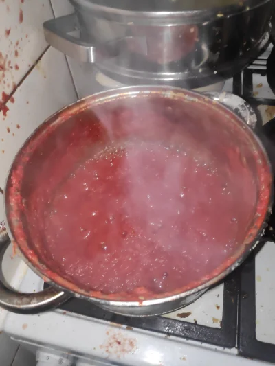 KingaM - #gotujzwykopem #gotujzkinga obiad z pomidorów ze śmietnika robię