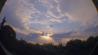 Lenalee - #tagnarozmazanezdjecia