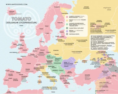 Precypitat - POMO D'ORO ZŁOTE JAPKO BORZE FAKTYCZNIE, LECISZ NA WYKOP (ʘ‿ʘ)

#mapporn...