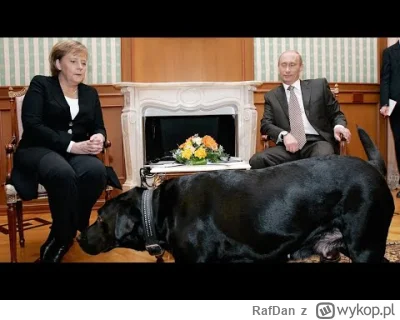 RafDan - Aż mi się przypomniało, jak Putin na spotkaniu z Merkel wprowadził psa. Niby...