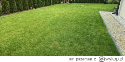 sir_pszemek - Czołem ogrodnicze Wykopki. W maju tego roku rozkładałem z rolki trawę. ...