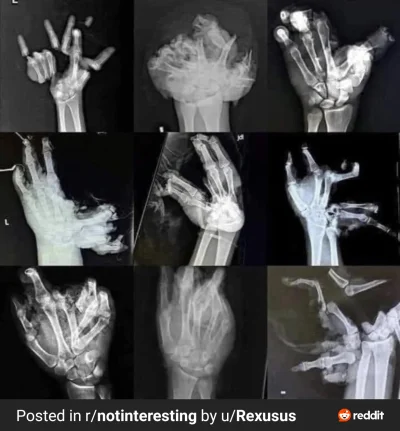 adamssson - Dziś jest dzień ktory wielu z nas będzie obchodziło jako ostatni z 10 pal...