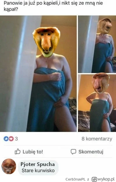 Cerb3rusPL - #konkursnanajbardziejgownianymemznosaczem 

Pjoter już wybrzydza!