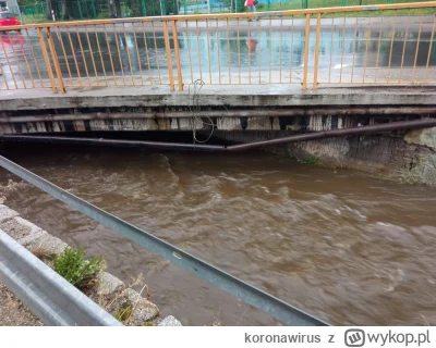 koronawirus - @pastaallacarbonara Takich mostów u nas jest od groma, i pewnie dużo z ...