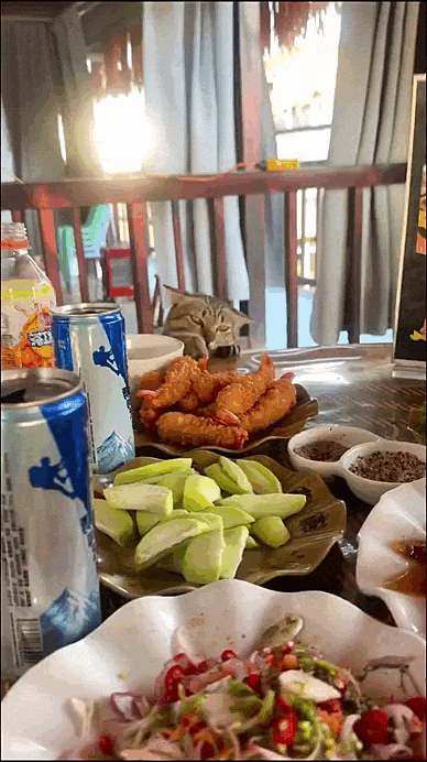 jestemtakizmeczony - @jestemtakizmeczony: