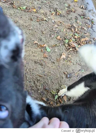 Casuel - @wincenty1: walczymy