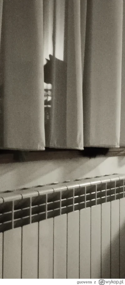 guovens - Listopad to dla ludzi niebezpieczna pora. Ostatnia nocna wachta na ulubiony...