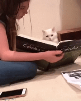 FreakingAwesome - @Strigon: