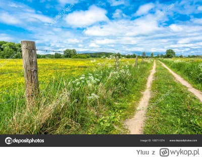 Yluu - jeszcze tylko 8 miesięcy, wytrzymamy jakoś

ale największy gamechanger to i ta...
