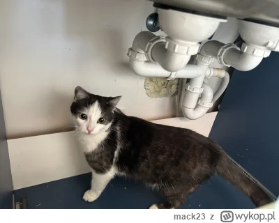 mack23 - @Solsith: mam wersję z firmware hydraulika