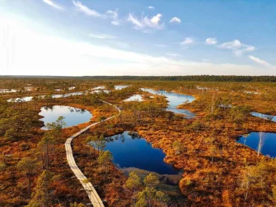 Krupier - @Ksiunc: Na Łotwie Park Narodowy Kemeri, super klimacik szczególnie jak tra...