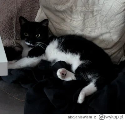 abojaniewiem - @frezjawdoniczce trochę jak moja Ofelia (｡◕‿‿◕｡)