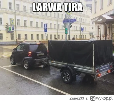 Zwierz33 - #przegryw #kierowcy #heheszki