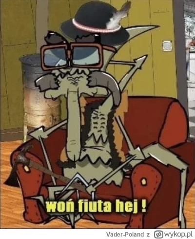 Vader-Poland - @Owlosiaty-Dzik