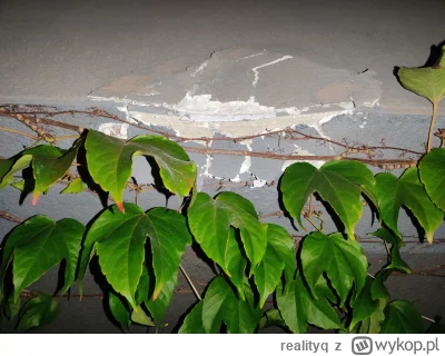 realityq - Hej, pytanie do osób w budowlance. Jaki jest koszt naprawy zniszczonego na...