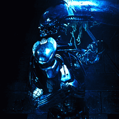 wfyokyga - Predator R----------r