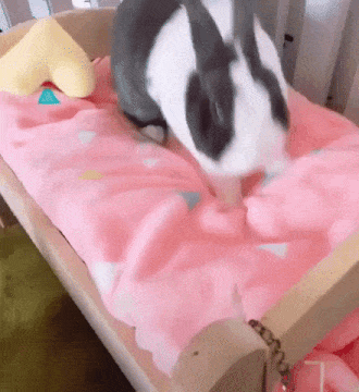 dywergent - ide spac, obym sie juz nigdy nie obudzil