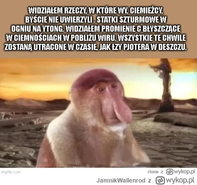 JamnikWallenrod - #konkursnanajbardziejgownianymemznosaczem #nostalgia #lowcaandroido...