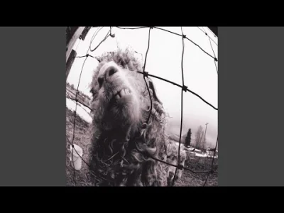 TypowyNalesnik - Crazy Mary - Pearl Jam

That what you fear the most
Could meet you h...