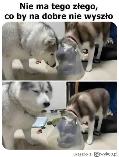 lukaszbp - #heheszki