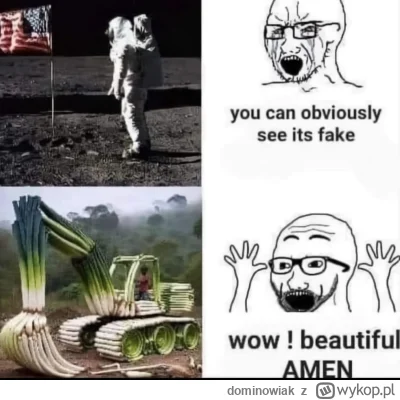 dominowiak - #heheszki #facebookcontent