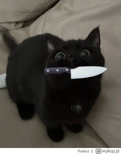 Polasz - @morgiel: oj nie wszystkie takie słodkie