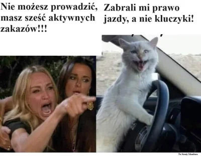 wolepiwo - #motoryzacja #samochody #bekazpodludzi #mordercy