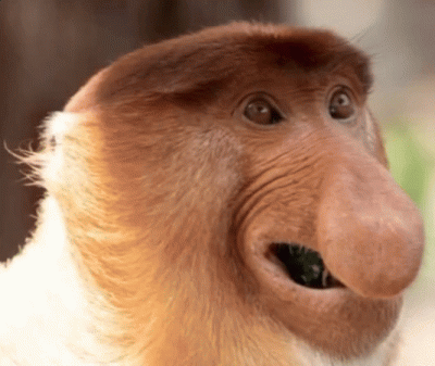 panDario - @magdalena-gaska: