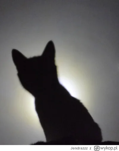 Jendrazzz - Mirki, proszę o pomoc w rozszyfrowaniu wróżby z parafiny czy wosku, bo ni...