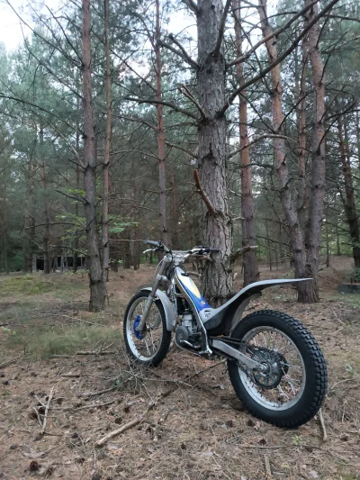 smoczykutaz7 - @Pupeteu Ja kupiłem sobie takiego sprzęta na chłody. 12 stopni a można...