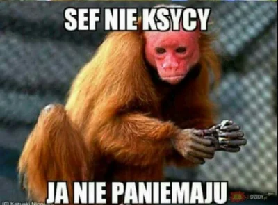 duzy_gracz - @Kemo: 
Katarzyna Mącińśka