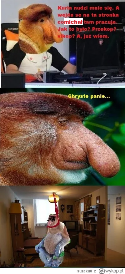 suzaku0 - #konkursnanajbardziejgownianymemznosaczem #wykop2.0