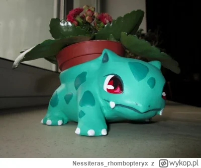 Nessiteras_rhombopteryx - #pokemon