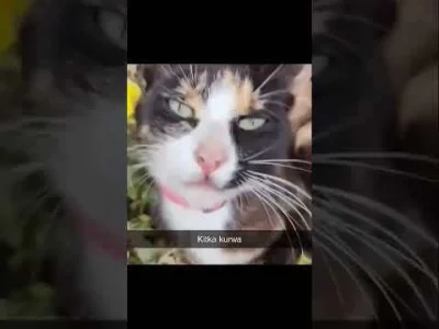 SzubiDubiDu - @062sleeper: