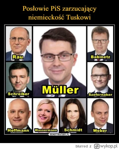 blurred - @trololo55: Kolejny powód do miłości z AfD i PiS  ᕙ(✿ ͟ʖ✿)ᕗ