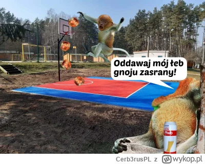 Cerb3rusPL - #konkursnanajbardziejgownianymemznosaczem