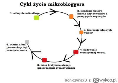 koniczynaxD - @Tumurochir Słyszałeś może kiedyś o cyklu życia mikrobloggera? 

#strze...