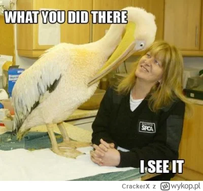 CrackerX - @D1_MIRAS: